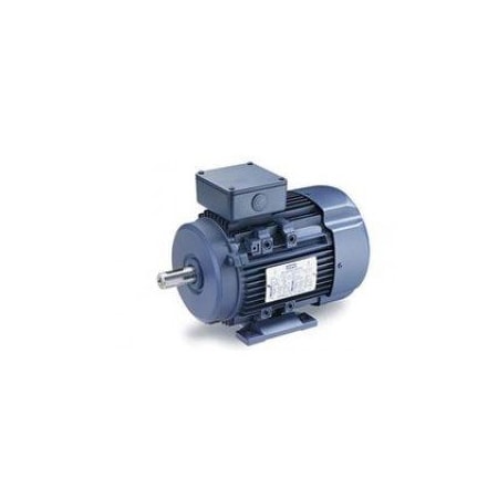 Leeson Motor, 0.33 HP General Purpose, 1 phase, 3600 RPM, 115/230 V, 71 Frame, TEFC 192252.00